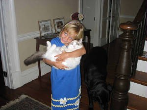 Little Girl Carrying Her Ragdoll Cat